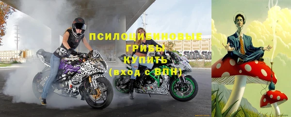 скорость Гусев