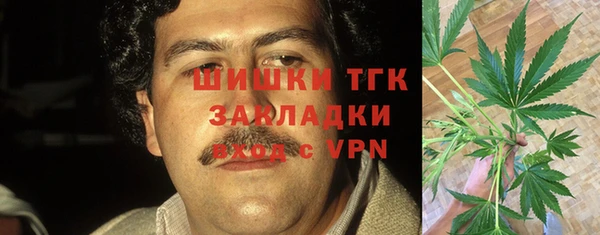скорость Гусев