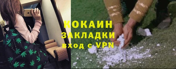 соль ск Гусь-Хрустальный