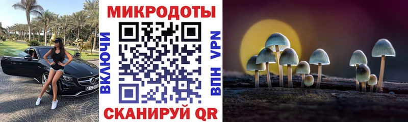 Купить закладки  Салехард  Галлюциногенные грибы Psilocybine cubensis 